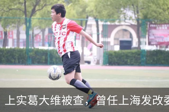 上实葛大维被查，曾任上海发改委副主任，同集团原总裁刚判死缓