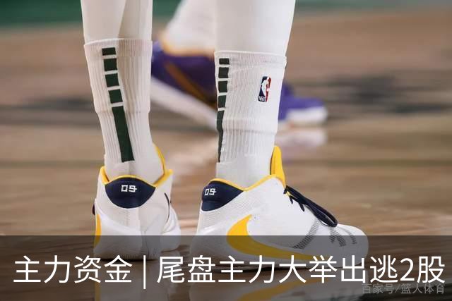 主力资金 | 尾盘主力大举出逃2股