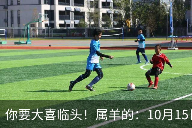 你要大喜临头！属羊的：10月15日到10月19日家里将发生3桩大事！