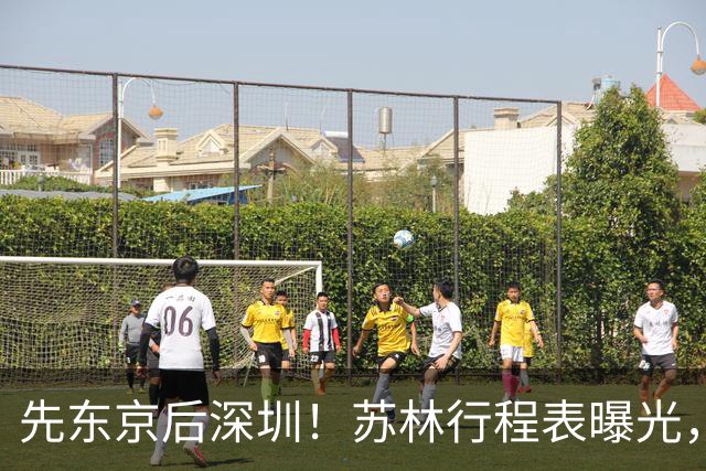 先东京后深圳！苏林行程表曝光，中日高铁大战谁是最后赢家？
