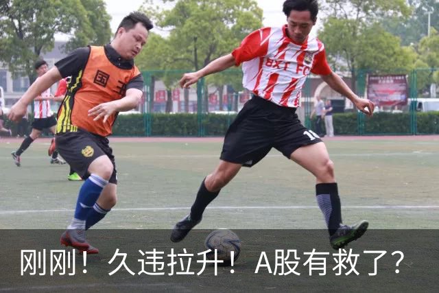 刚刚！久违拉升！A股有救了？