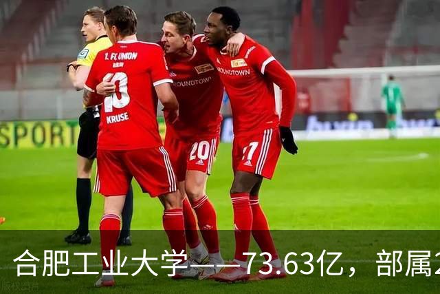 合肥工业大学——73.63亿，部属211，为什么跑不赢同级别院校