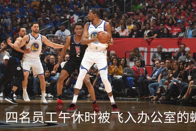 四名员工午休时被飞入办公室的蝙蝠咬伤，医生提醒：蝙蝠传染狂犬病风险远超猫狗，只要直接接触就属于最高风险等级