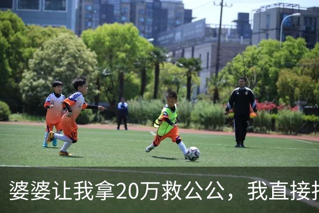 婆婆让我拿20万救公公，我直接拒绝，婆婆要跟我离婚，离就离