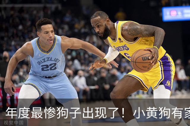 年度最惨狗子出现了！小黄狗有家不能回，回了还得给两位冤种让位置打架……狗子：我太难了！