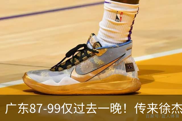 广东87-99仅过去一晚！传来徐杰、亚帅的重要消息，杨鸣说得很实在