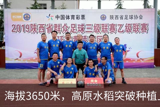海拔3650米，高原水稻突破种植上限（秋收进行时·不一样的水稻品种）