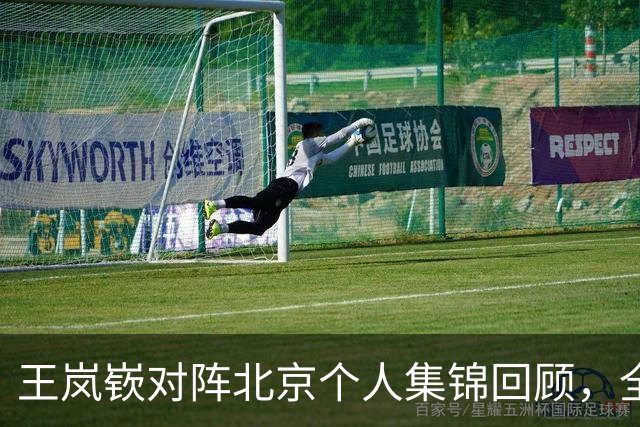 王岚嵚对阵北京个人集锦回顾，全场砍下20分8助攻4抢断