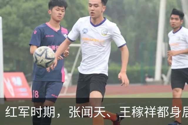 红军时期，张闻天、王稼祥都身居高位，为何后来渐渐淡出历史舞台？