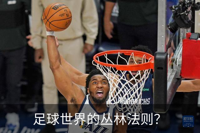 足球世界的丛林法则？