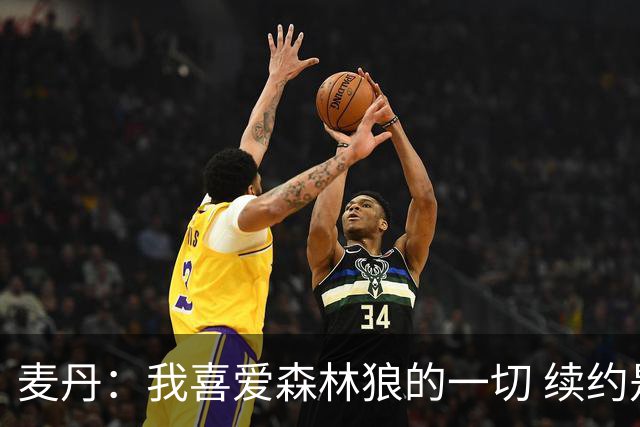 麦丹：我喜爱森林狼的一切 续约是不用犹豫的决定