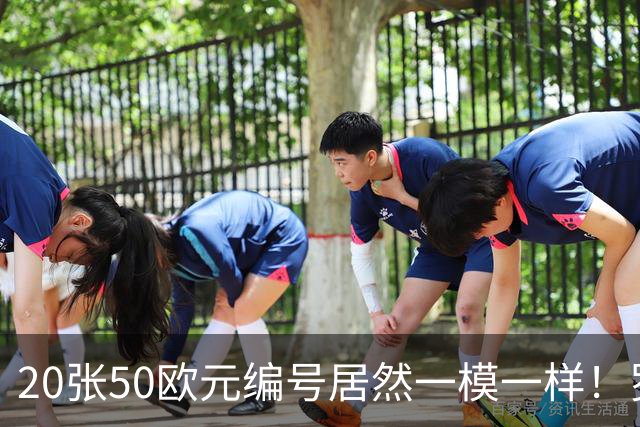 20张50欧元编号居然一模一样！罗马21岁男子被搜出1000欧元假币
