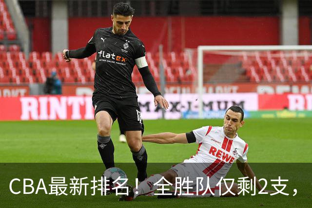 CBA最新排名！全胜队仅剩2支，辽宁北京抢第1，广东回前8，深圳青岛成倒数