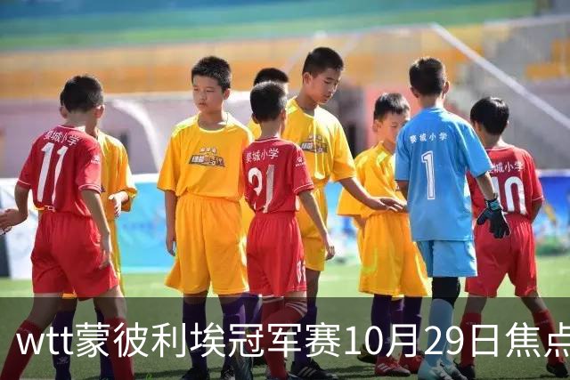 wtt蒙彼利埃冠军赛10月29日焦点赛程，男女单16强对阵图，直播预告
